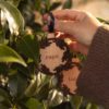Bola de Navidad personalizada colgada de un u00e1rbol de Navidad, lista para decorar